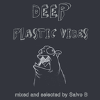 Deep Plastic Vibes [22-01-2013] mixed and selected by Salvo B