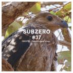 SUBZERO#37 2nd hour - Pinky Murakami