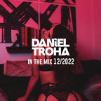 Daniel Troha - In The mix 12-2022 // 124 bpm // Nu Disco