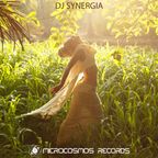 [Chill Space Mix Series 017] DJ Synergia - Atmospheric Vibrations from Microcosmos Records