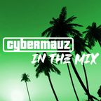 Cybermauz - In The Mix #361 (House & Dance Session XL)