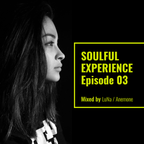 Soulful Experience03 Mixed By LuNa