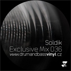 Soldik - Exclusive Mix 036 - 2021/01