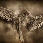 Pila Naopako /5.3.2023/ Wings That Wont Fly