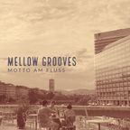 Scheibosan - Mellow Grooves @ Motto Am Fluss