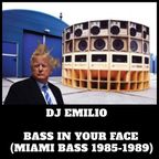 Bass In Your Face (Miami Bass 1985-1989)