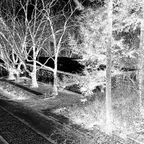 volkspark rehberge vereinsheim hard techno set