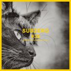 SUBZERO#38 1st hour - Pinky Murakami