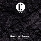 PROKS - Haunted Forest (Official Mixtape)