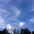 Weather Reports - 19.06.17 / 11:05