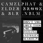 CamelPhat & Elderbrook & BLR, NBLM - Don't You Love This Cola Feeling (NEWGEN Mashup)