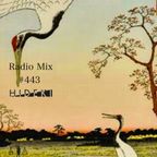 Radio Mix #443