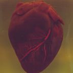 Theme Music - KOOP RADIO - The Heart (02/14/22)