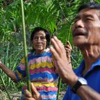 Rencontre avec un Guérisseur d’Amazonie équatorienne José Licuy 6 devenir Yachak