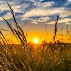 Summer Solstice 2022