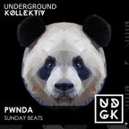 pwnda - pwnda - Sunday Beats - An electronica and breaks voyage (UDGK: 26/11/2023)