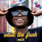 what the funk vol.23