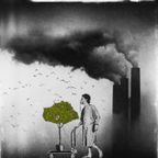 Product of the Environment