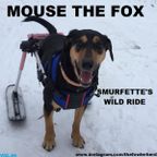 MOUSE THE FOX - SMURFETTE'S WILD RIDE - 05.03.2023
