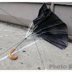 Broken Umbrella 2