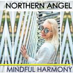 Northern Angel - Mindful Harmony [#progressive #house]