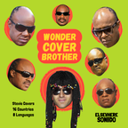 Wonder Cover Brother (Stevie Covers from 16 Countries)