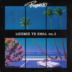LICENCE TO CHILL Vol. 5 - A selection of Disco/Soul/Jazz Funk cuts