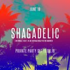 SHAGADELIC - (informal) sexy, in an outrageously retro manner