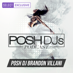 POSH DJ Brandon Villani 11.7.23 (Explicit) // 1st Song - Take My Chance by MK
