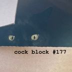 COCK BLOCK #177