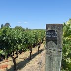 Wine Country Mixtape 1