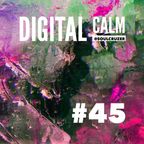 Digital Calm #45