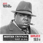 Mister Critical - Back To Niceness (BRUZZ - 11.04.2020)