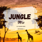 DJ Queen Bee Old Skool Jungle Mix 003