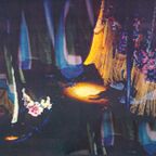 Scat solos by Judy Niemack, Negril Daina and the Tribe NYC