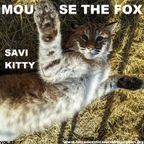 MOUSE THE FOX - SAVI KITTY - VOL.63 - 15.01.2023
