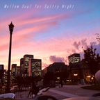 #21 Mellow Soul for Sultry Night | Andre Solomko,James Mason,Mayer Hawthorne,Erykah Badu,山下達郎,Sade