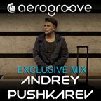 Andrey PUSHKAREV - Aerogroove Podcast [www.aero-groove.com]
