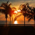 Palm Beach (Summer Mix 2018)