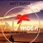 MATT BANGA - WAY TO MEXICO - MIX COMPILATION