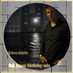 DJ Dave Dolphin - Full Moon Birthday Mix