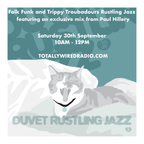 Folk Funk & Trippy Troubadours Rustling Jazz - AlanMcK with an exclusive Paul Hillery Guest Mix