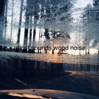 Ghost Sounds Wood Noise #39 - Chra