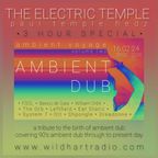 Paul Temple Hedz - The Electric Temple - EP18 - 'Ambient Voyage Volume 2' - (W142 16th Feb 24)