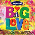 DJ Ratty w/ MC Ribbz - Universe 'Big Love' - Lower Pertwood Farm,  Wiltshire - 13.8.93