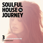 Soulful House Journey Vol. 14/3