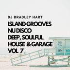 Dj Bradley Hart Island Grooves Nu Disco Deep Soulful House & Garage Vol 7