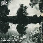 Foraged Sounds NTS Mix May 10th 2022 (Soft Rock / Psych Folk / Soul Vinyl Only Mix)