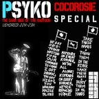 Psyko Special ( CocoRosie )