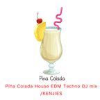 Piña Colada House EDM Techno DJ mix
